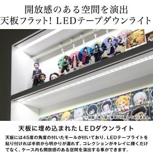 LED アクスタ 専用コレクションケース ハイ...の詳細画像3