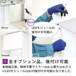 コレクションラック Unir ユニール 幅83...の詳細画像2