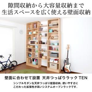 天井つっぱりラック TEN 幅60cm 奥行2...の詳細画像1