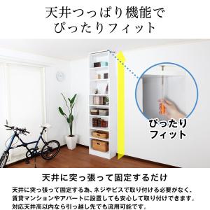天井つっぱりラック TEN 幅60cm 奥行2...の詳細画像3