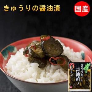 きゅうり醤油漬け 100g×2袋 国産 無添加 きゅうり 漬物 宮崎県産 キュウリ 梅酢ごぼう 2種類から選べる ご飯のお供 ポイント消化 メール便