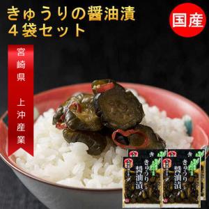 きゅうり醤油漬け 100g×4袋 国産 無添加 きゅうり 漬物 宮崎県産 キュウリ  ご飯のお供 ポイント消化  メール便