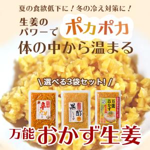 爆買 万能おかず生姜 国産 130g×3袋 し...の詳細画像1
