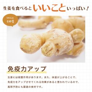 爆買 万能おかず生姜 国産 130g×3袋 し...の詳細画像4