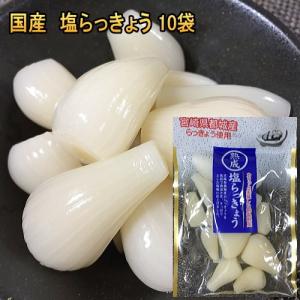 塩らっきょう 国産 無添加 80gｘ10袋 砂糖不使用 カリカリらっきょう漬け お歳暮 らっきょ　漬け物　還暦 B級グルメ