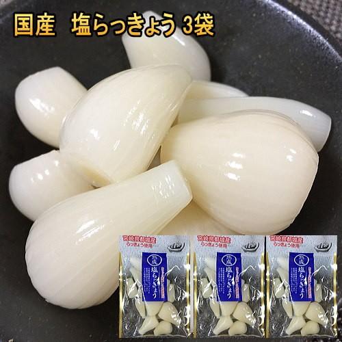 爆買 塩らっきょう 国産 無添加 80gｘ3袋  砂糖不使用 カリカリらっきょう漬け お歳暮 らっき...