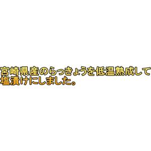 爆買 塩らっきょう 国産 無添加 80gx3袋...の詳細画像2