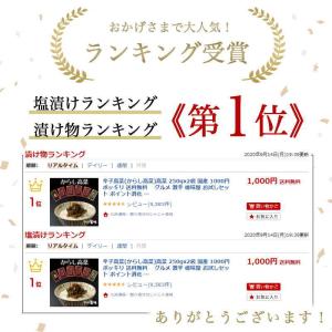 辛子高菜 国産 激辛 高菜漬け 200g x3...の詳細画像5