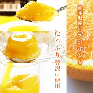お中元 2026 ゼリー ギフト くまもとのデ...の詳細画像3