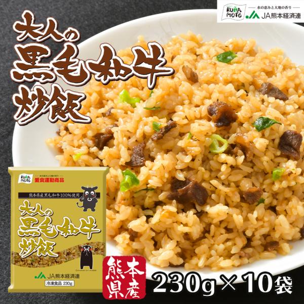 国産素材 冷凍炒飯 大人の黒毛和牛炒飯 230g×10袋 こだわりバラエティ 詰め合わせ 2.3kg...