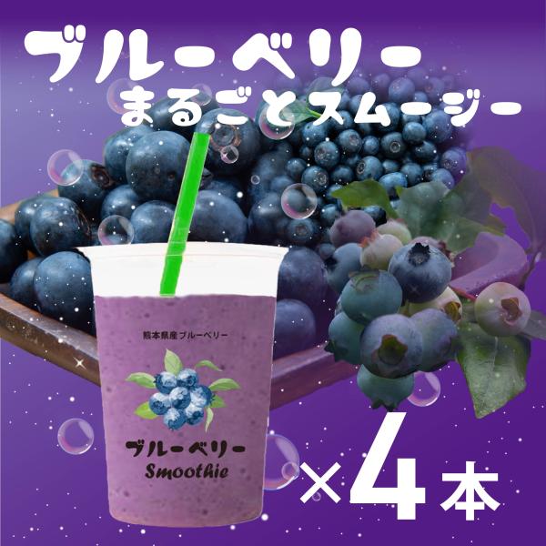 まるごとスムージー ブルーベリー 4本セット 230g 熊本県産