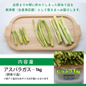 熊本県産アスパラガス 訳あり 1kg 規格外 ...の詳細画像1