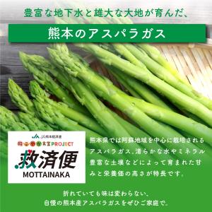熊本県産アスパラガス 訳あり 1kg 規格外 ...の詳細画像2
