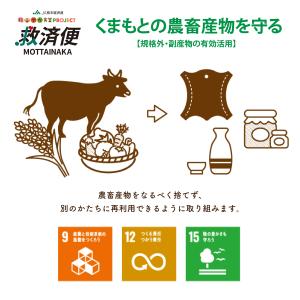 熊本県産アスパラガス 訳あり 1kg 規格外 ...の詳細画像5