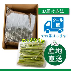 熊本県産アスパラガス 訳あり 1kg 規格外 ...の詳細画像3