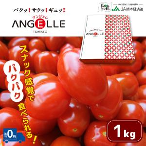 熊本県産 アンジェレ ミニトマト 2kg (1kg×2箱) 野菜 国産 家庭用 贈答