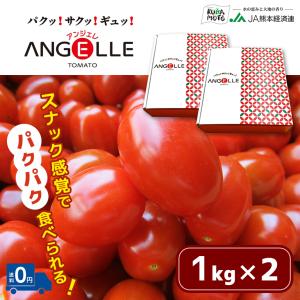 熊本県産 アンジェレ ミニトマト 1kg 野菜 熊本 国産 家庭用 贈答用