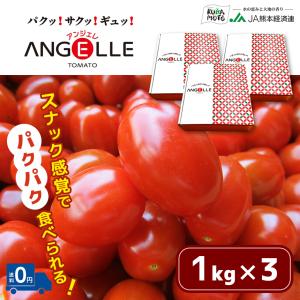 熊本県産 アンジェレ ミニトマト 3kg (1kg×3箱)｜JA熊本経済連Yahoo!Shop