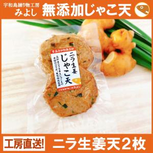 じゃこ天 無添加 宇和島練り物工房みよし ニラ生姜天２枚