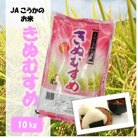 滋賀県産近江米　JAこうかのお米　きぬむすめ　白米　10kg