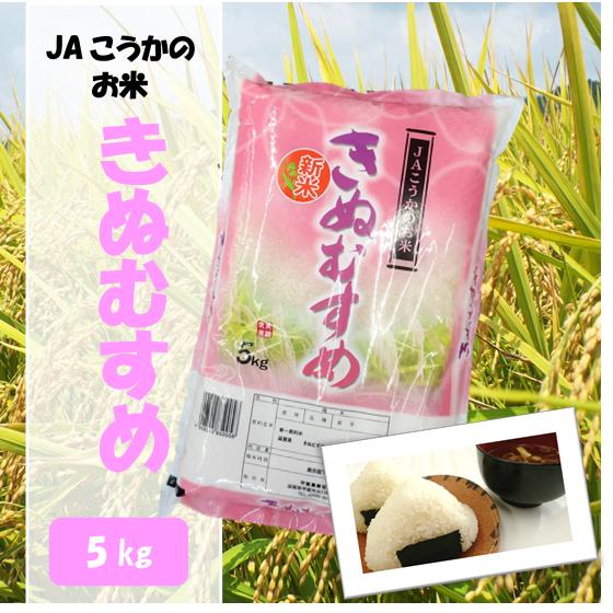 滋賀県産近江米　JAこうかのお米　きぬむすめ　白米　5kg