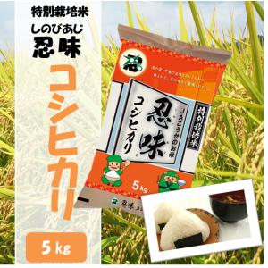 コシヒカリ 7年産 10kg (5kg×2) 埼玉県産 検査一等 白米 : 小江戸市場