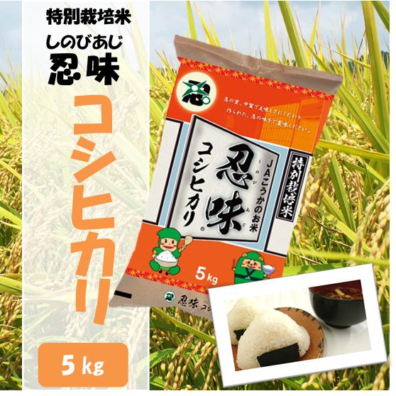 滋賀県産近江米　JAこうか　特別栽培米　忍味　コシヒカリ5kg　お米　白米