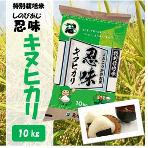 2025年産(令和7年) 【 もみ米 10kg 】風さやか 長野県産 保存米 もみ