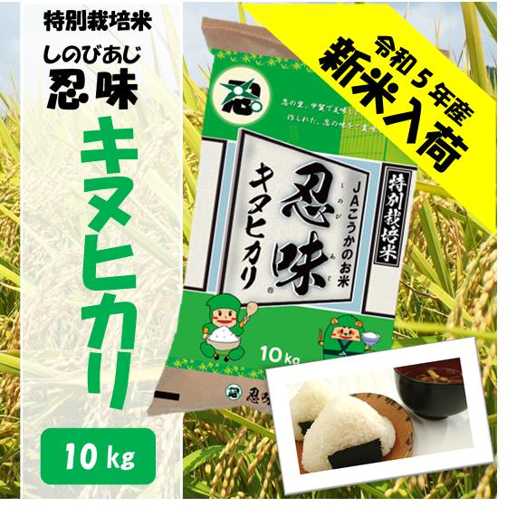 滋賀県産近江米　JAこうか　特別栽培米　忍味　キヌヒカリ10kg　お米　白米