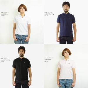 ラコステ LACOSTE PJ2909/L18...の詳細画像1