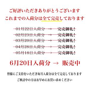 洗車 ブロワー 電動 エアダスター 強力 充電...の詳細画像1