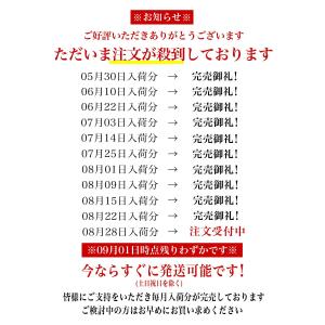 GoPro アクセサリー HERO13 HER...の詳細画像1