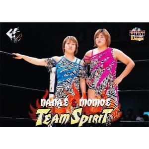 91 【中西百重＆高橋奈苗】BBM 2001 女子プロレスカード FIGHTING BEAUTIES レギュラー [チームカード]｜jambalaya