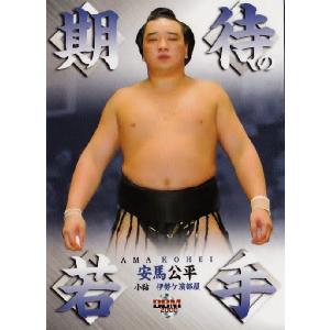 スポーツカード ジャンバラヤ - BBM 大相撲カード2008（2008年）｜Yahoo!ショッピング