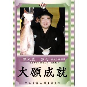 スポーツカード ジャンバラヤ - BBM 大相撲カード2008（2008年）｜Yahoo!ショッピング