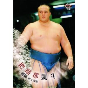 BBM 大相撲カード 2010 レギュラー 67 春日錦 孝嘉 : スポーツカード