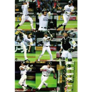 22カルビープロ野球チップス第3弾 M-18 星野仙一 復刻カード