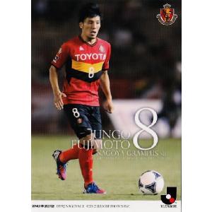 Jリーグオフィシャルカード2010 1st レギュラー 058 徳永悠平 (FC東京