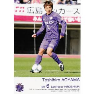 Jカード TEメモラビリア サンフレッチェ広島 2012 レギュラー SH06