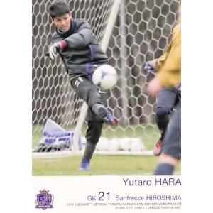 Jカード TEメモラビリア サンフレッチェ広島 2012 レギュラー SH06