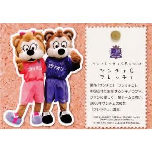 Jカード TEメモラビリア サンフレッチェ広島 2012 レギュラー SH06