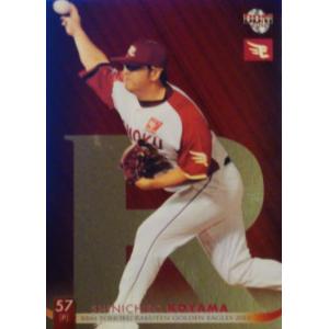 31 【新沼慎二 (横浜DeNAベイスターズ)】BBM2013 惜別球人 レギュラー