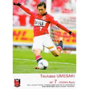 Jカード TEメモラビリア 浦和レッズ 2012 レギュラー UR09 柏木陽介