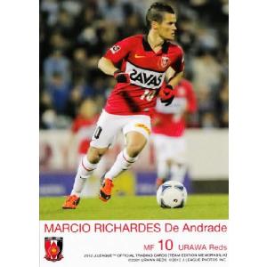 Jカード TEメモラビリア 浦和レッズ 2012 レギュラー UR09 柏木陽介