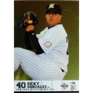 岡田幸文 2013 BBM ロッテマリーンズ 67 【岡田幸文】BBM 千葉ロッテマリーンズ 2013 レギュラーパラレル