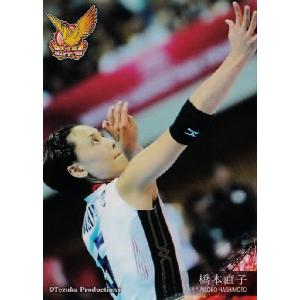 全日本女子バレーオフィシャルカード2013 「火の鳥NIPPON」 レギュラー