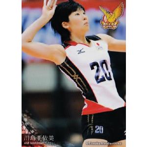 13 【岩坂名奈】全日本女子バレーオフィシャルカード2019 「火の鳥