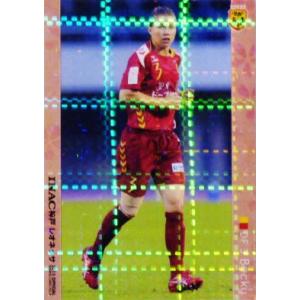 クラブ発行】2013 INAC神戸レオネッサ オフィシャルカードVOL.2