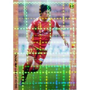 クラブ発行】2013 INAC神戸レオネッサ オフィシャルカードVOL.2
