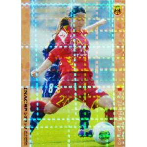クラブ発行】2013 INAC神戸レオネッサ オフィシャルカードVOL.2